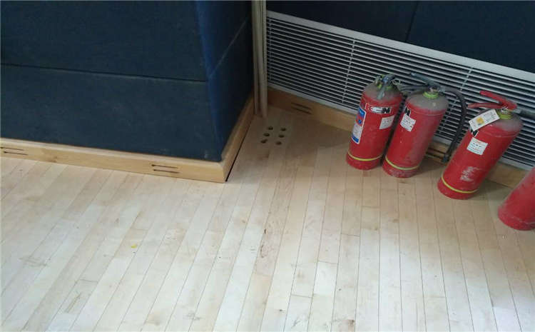 河北運(yùn)動木地板代理商