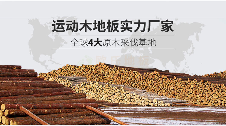 安徽體育運動木地板銷售