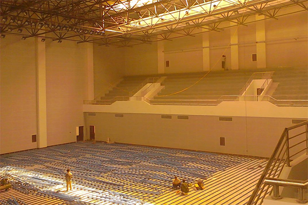 體育木地板 體育木地板