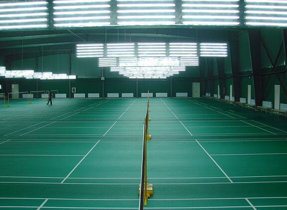 體育地板,體育木地板 體育地板,體育木地板