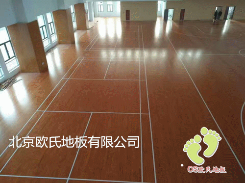 江蘇泰州雙河初中楓木運動木地板