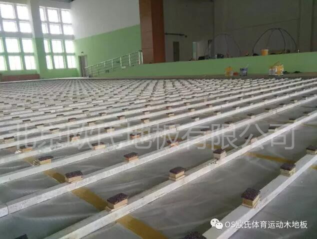 汕頭特殊教育學校籃球館木地板案例圖4 汕頭特殊教育學校籃球館木地板案例圖4