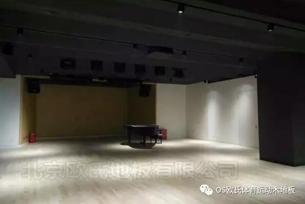 韓國大使館文化院多功能廳實木運動地板成功案例圖4 韓國大使館文化院多功能廳實木運動地板成功案例圖4