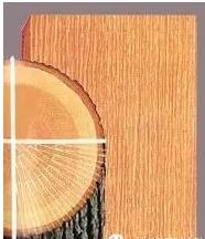 徑切與呈現(xiàn)出來的紋理效果 徑切與呈現(xiàn)出來的紋理效果