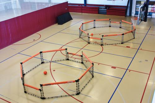 國(guó)內(nèi)體育運(yùn)動(dòng)木地板為什么要選歐氏？