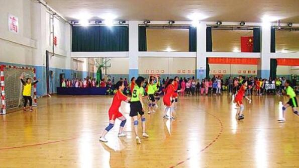 手球館場地的標準尺寸和等級劃分 手球館場地的標準尺寸和等級劃分