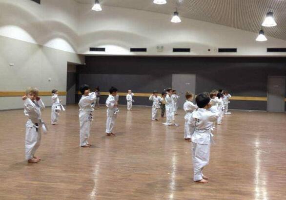 體育館和武術館的維護和保養