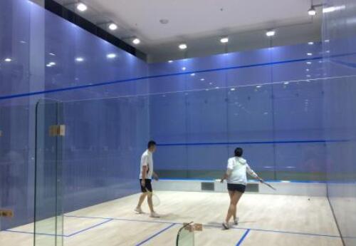  建個(gè)壁球館的價(jià)格是多少？