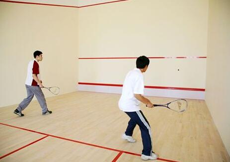  建個(gè)壁球館的價(jià)格是多少？