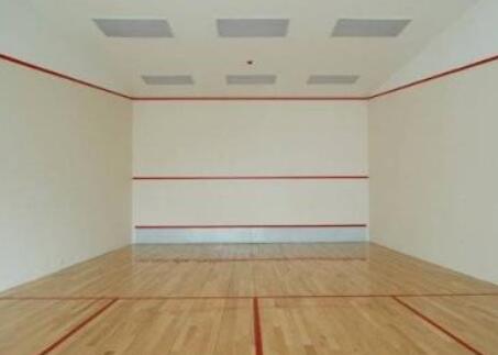  建個(gè)壁球館的價(jià)格是多少？