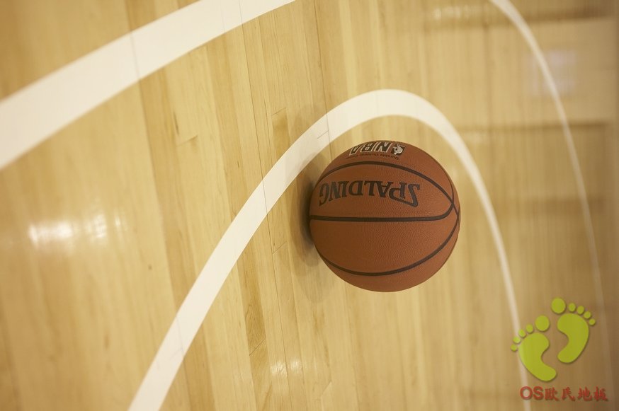 運動木地板——專業運動木地板